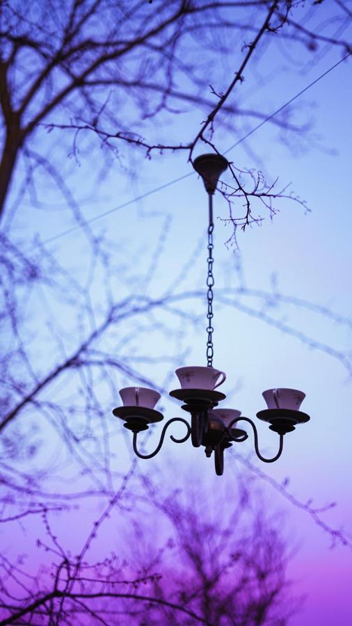 Terra Della Lanterna Bed & Breakfast เชโตนา ภายนอก รูปภาพ